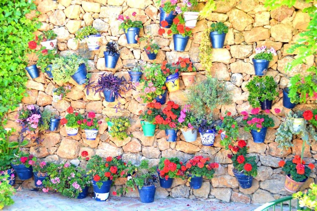 Casita Tranquila Villa อัลเมรีอา ภายนอก รูปภาพ